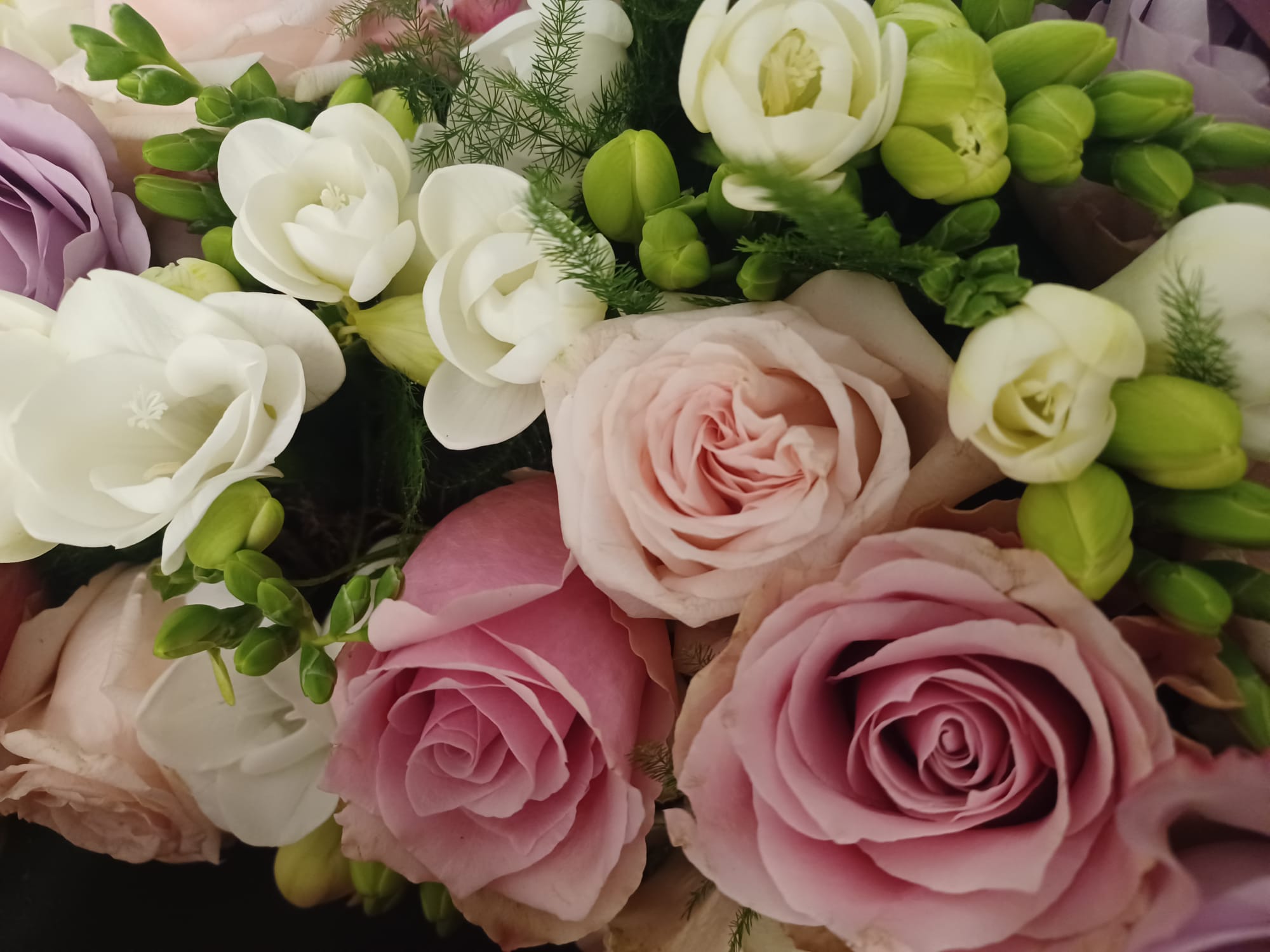 composizione di rose sui colori pastello rosa, lilla e bianco