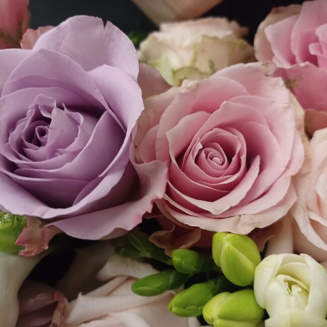 rose lilla, rosa e bianche in una composizione per funerale