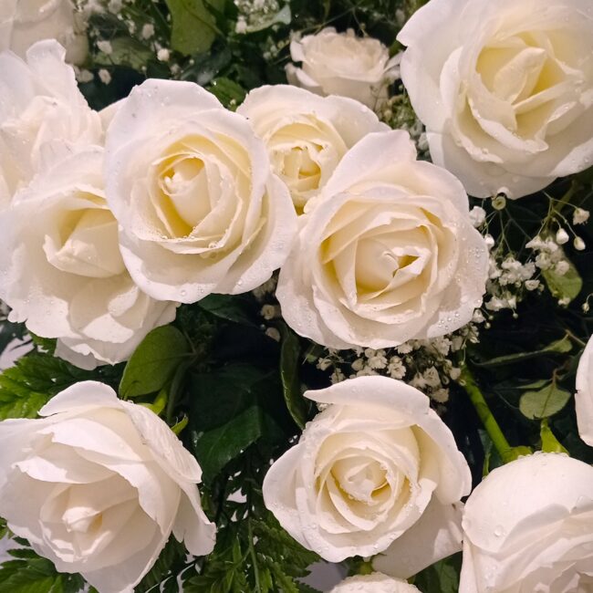 mazzo di fiori rose bianche