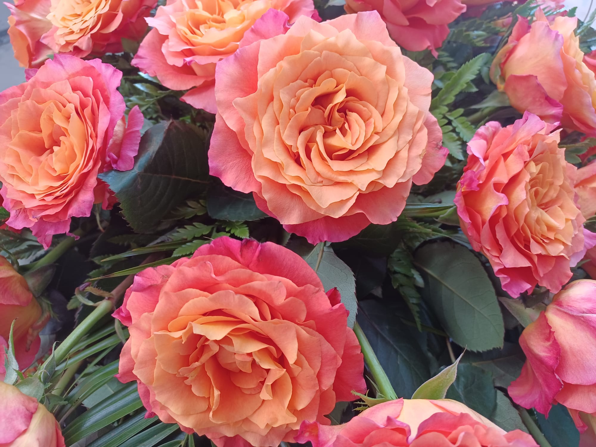 mazzo di rose sfumate dai colori fucsia e arancione