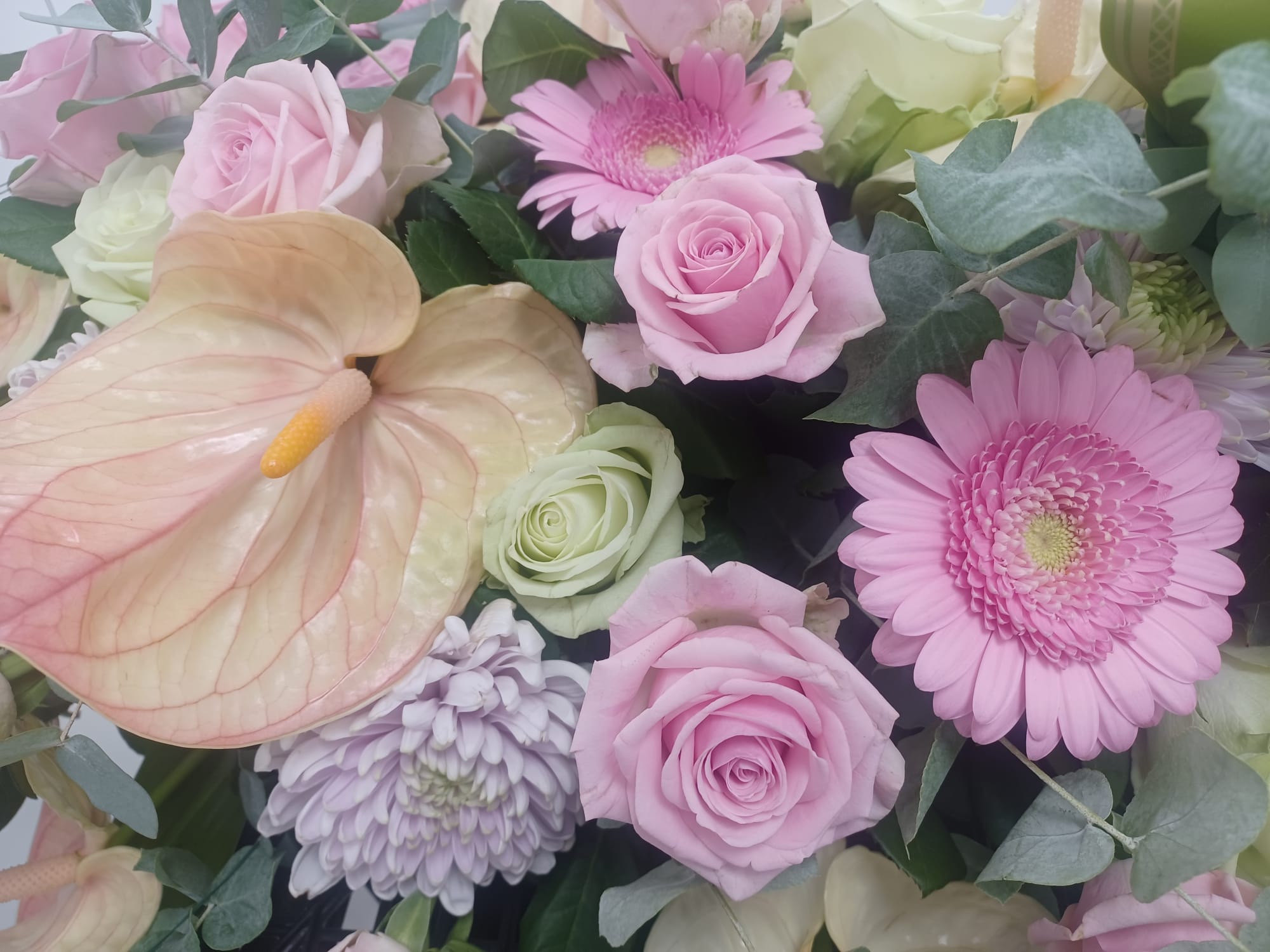 composizione di fiori con anthurium, gerbere e rose
