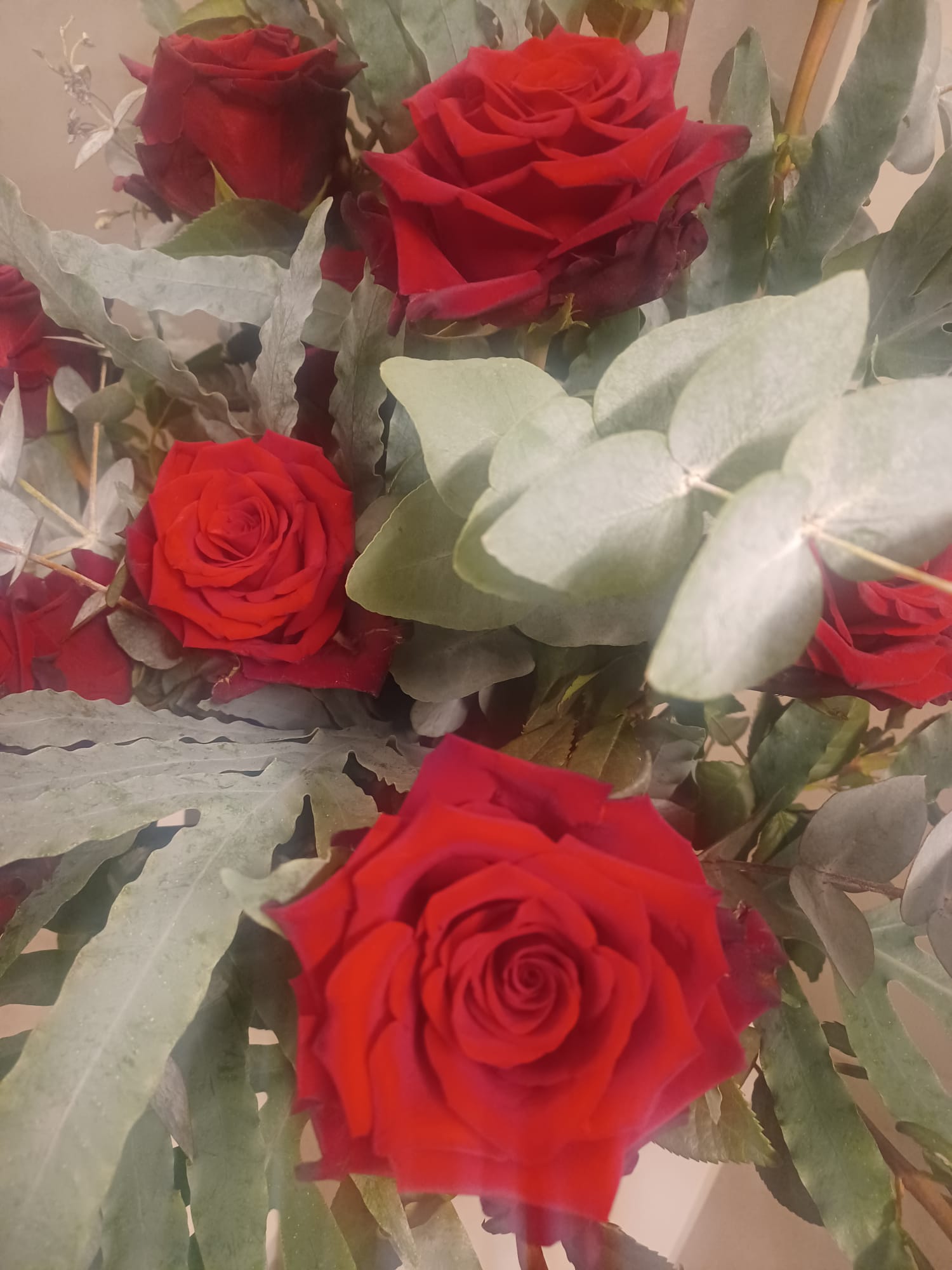 mazzo rose rosse