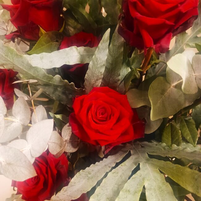 rose rosse con grandi foglie verdi per funerale