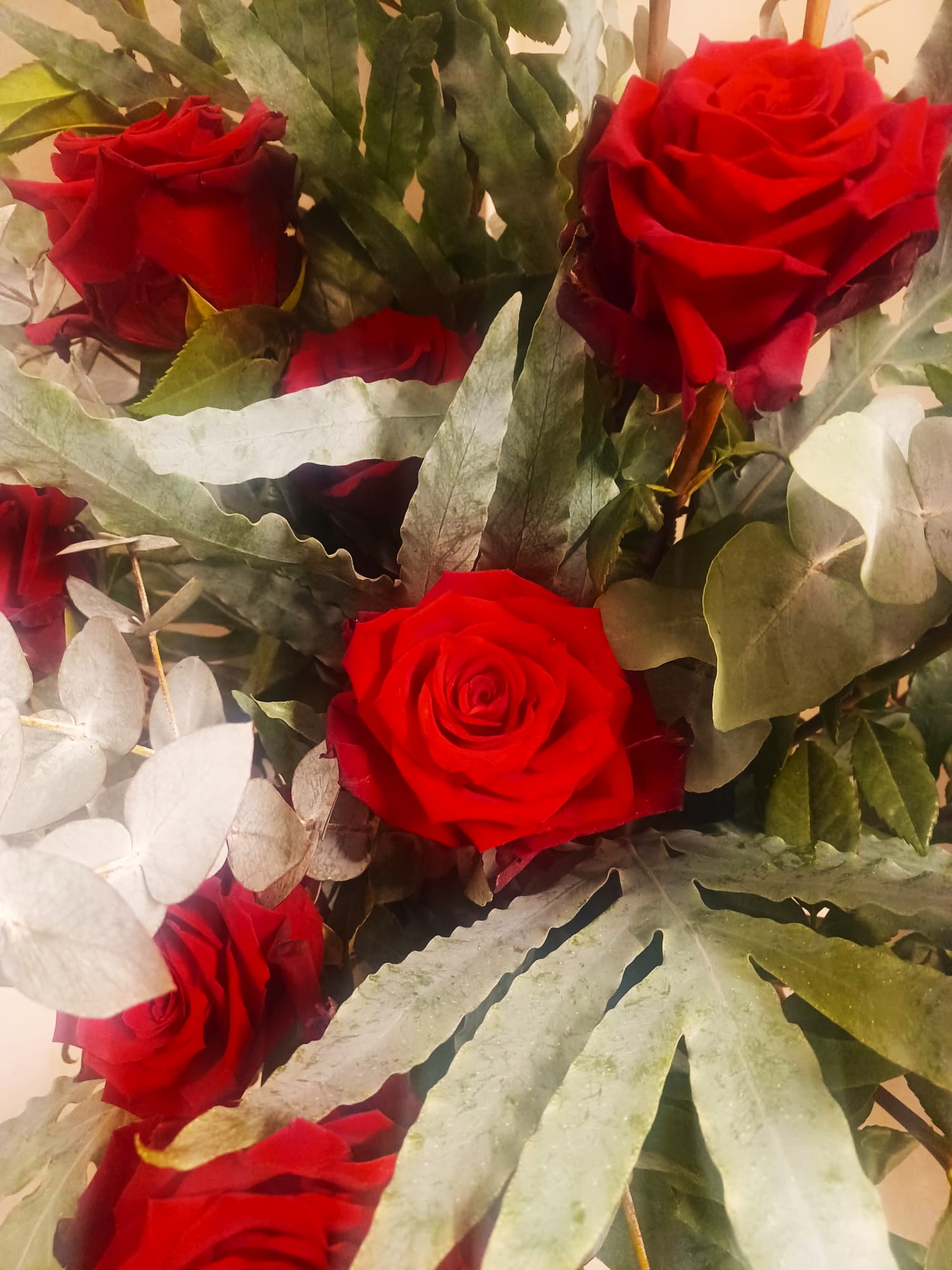 rose rosse con grandi foglie verdi per funerale
