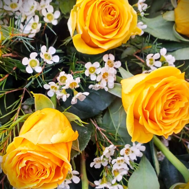 rose gialle e fiorellini bianchi per funerale