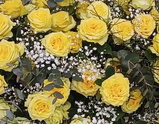 composizione di rose gialle a gypsophila bianca
