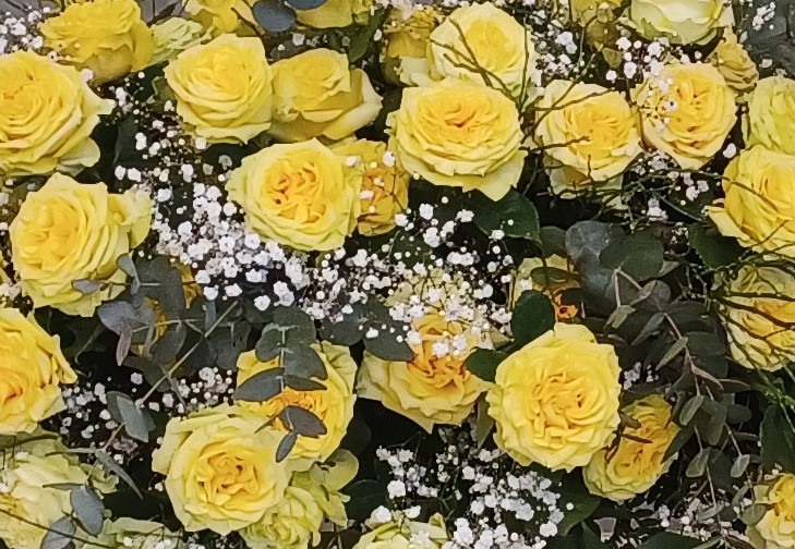 composizione di rose gialle a gypsophila bianca