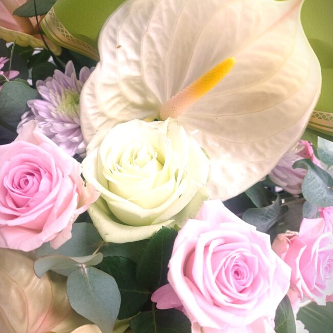 composizione fiori rosa e lilla con rose e anturio bianco