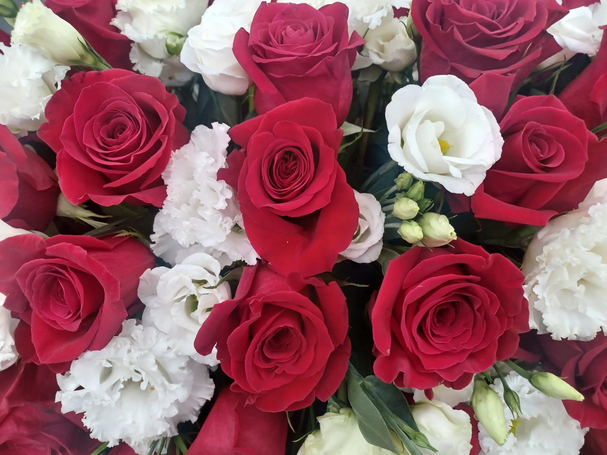 rose rosse e lisianthus bianchi