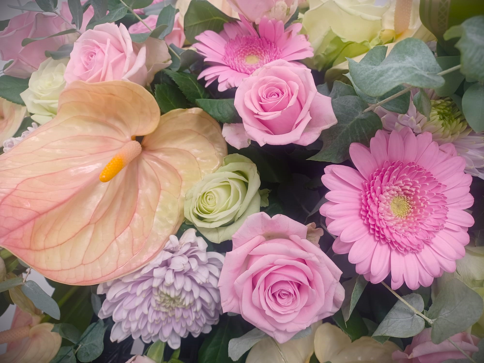 composizione floreale per funerale sulle tonalità del rosa e lilla con gerbere, rose e anturio