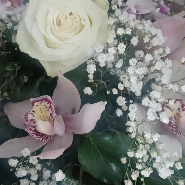 orchidee rosa e fucsia con roselline bianche