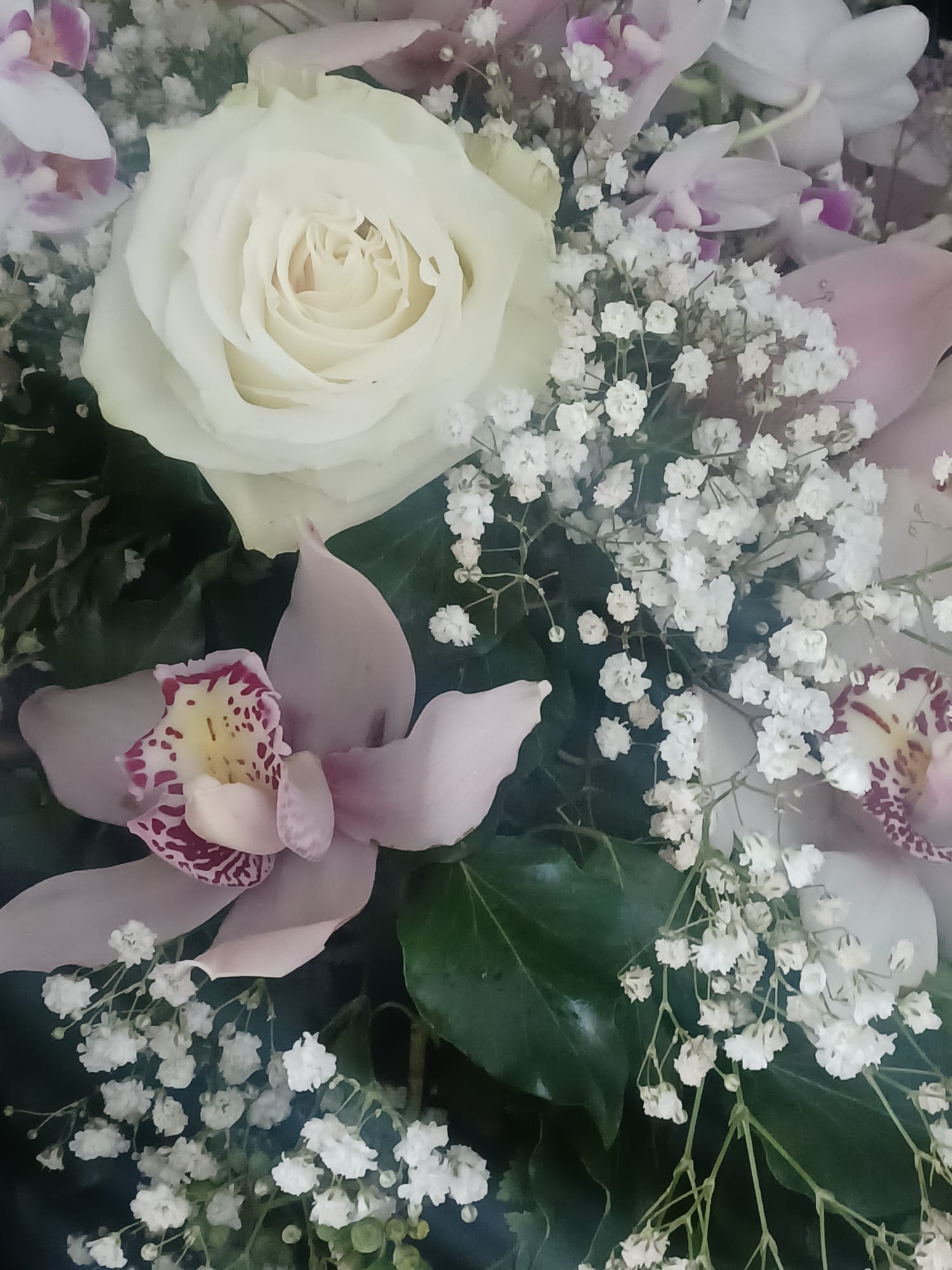 orchidee rosa e fucsia con roselline bianche