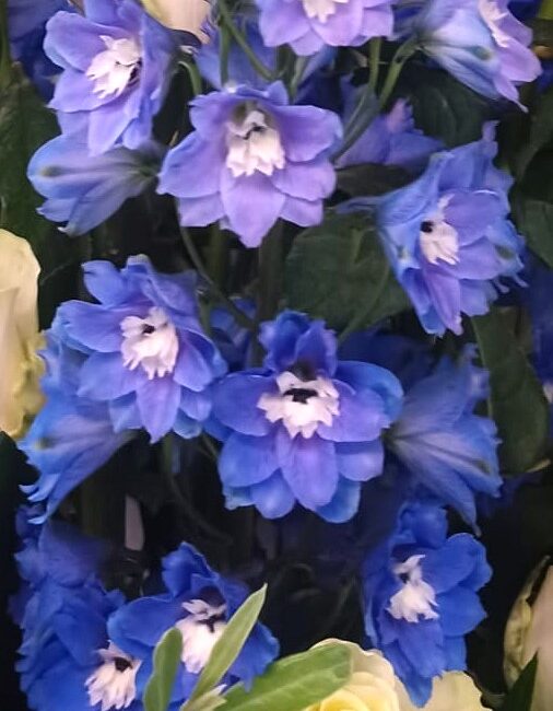 fiorellini viola sfumati bianchi per corona di fiori funebre