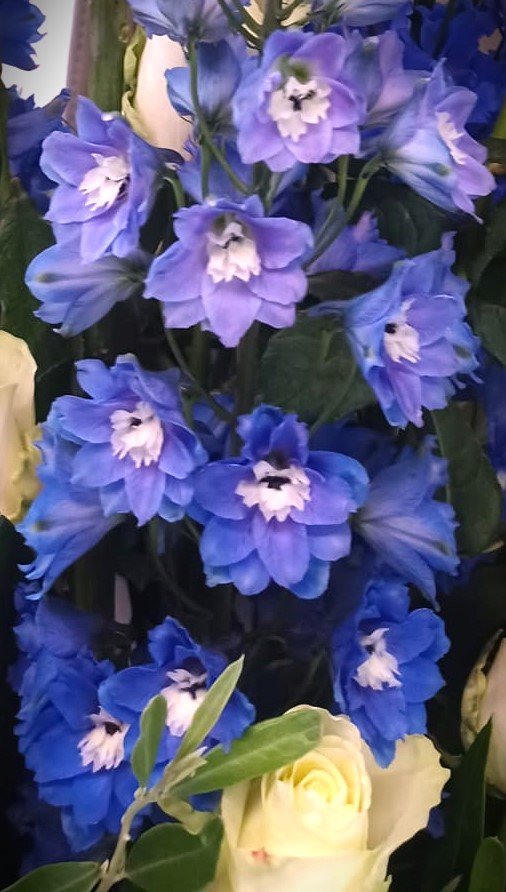 fiorellini viola sfumati bianchi per corona di fiori funebre