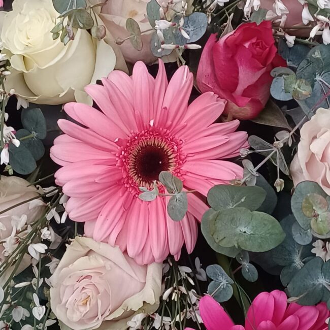 rose rosa e gerbere fucsia e rosa