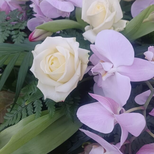 orechidee lilla e rose bianche