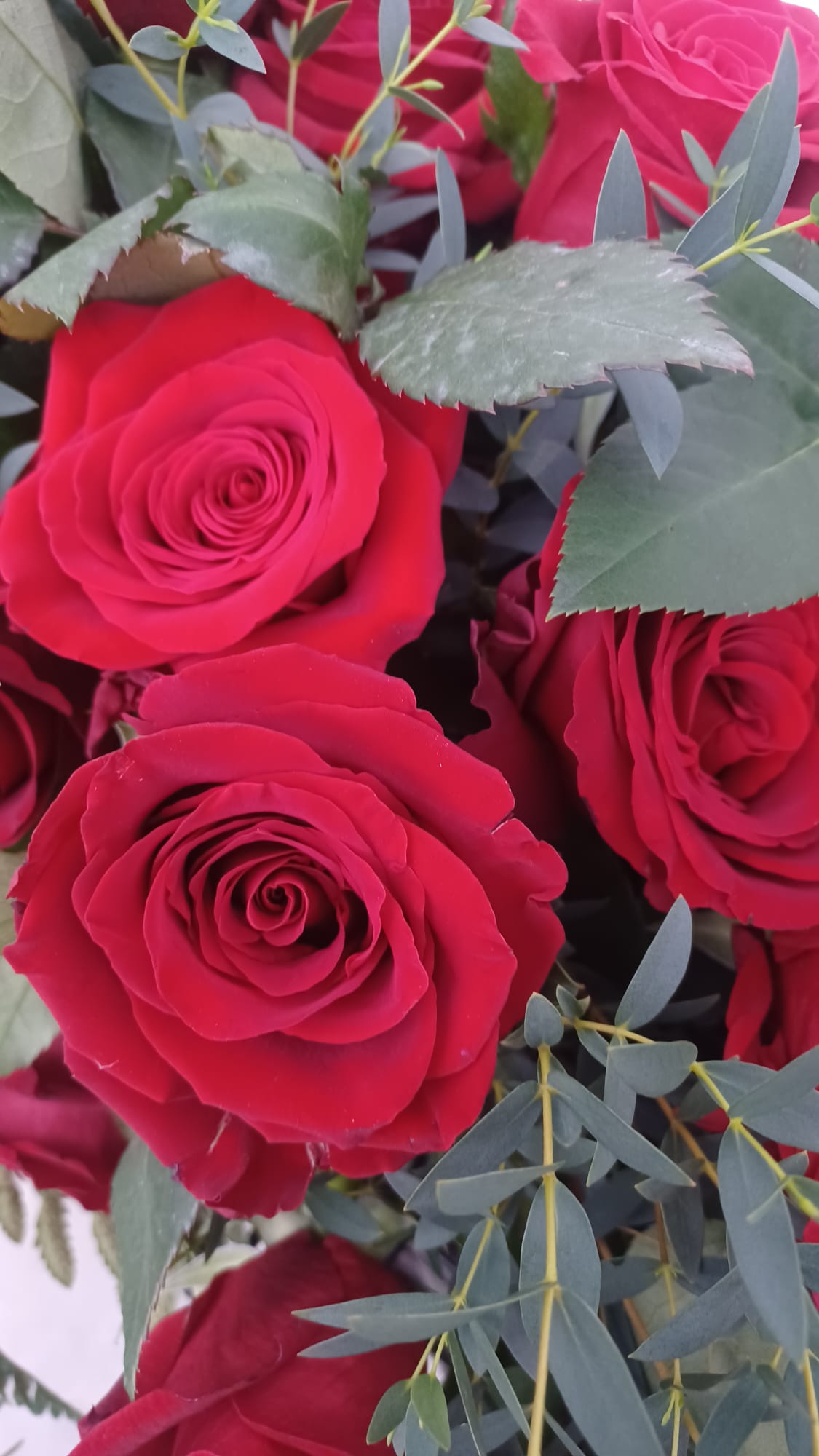 fiori per funerale rose rosse