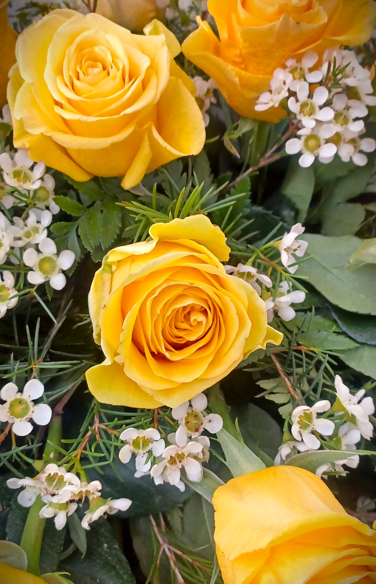 dettaglio rose gialle con fiorellini bianchi