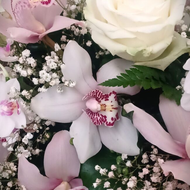 orchidee rosa e fucsia con rosa bianca e gtpsophila