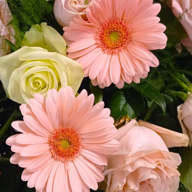 mazzo di fiori per bare con gerbere e rose rosa e bianche