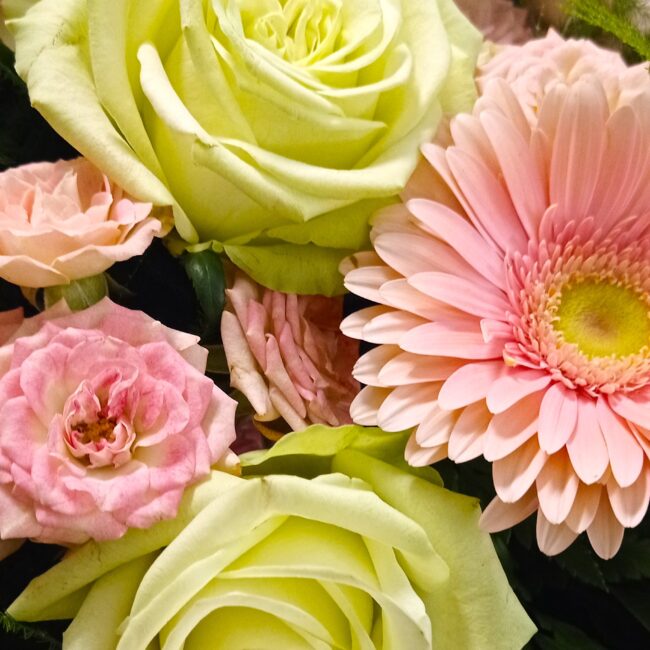 dettaglio rosa bianca e gerbera rosa