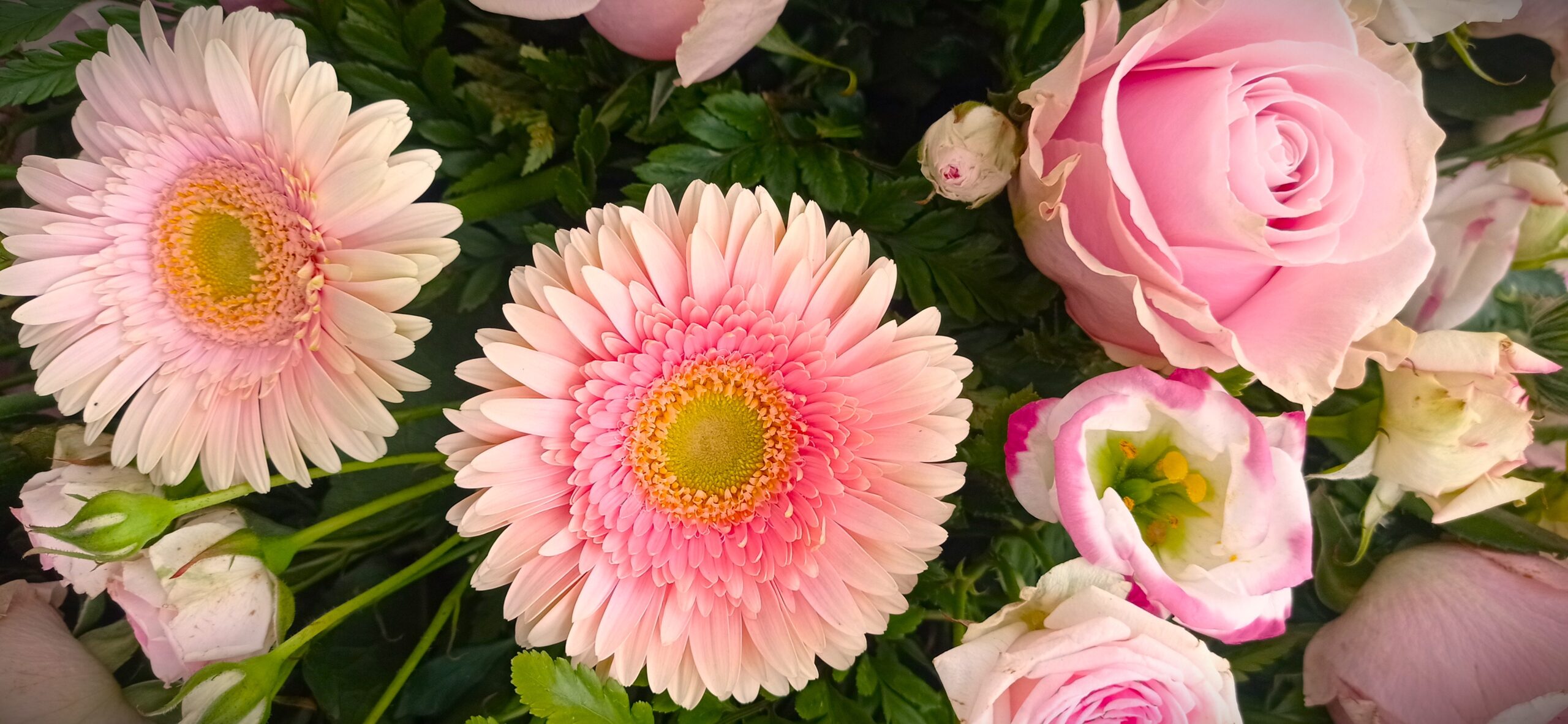 dettaglio gerbere rosa e rose rosa in un mazzo