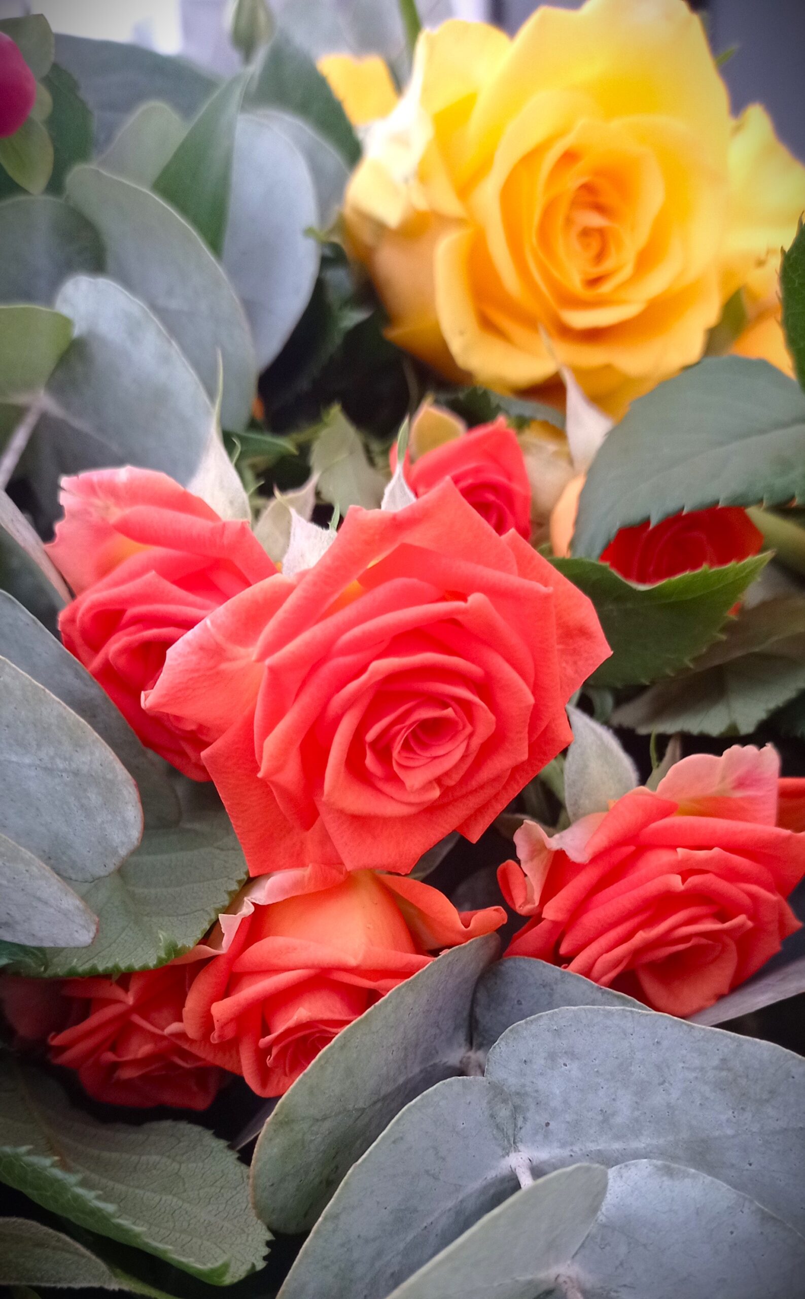 rose arancioni e gialle