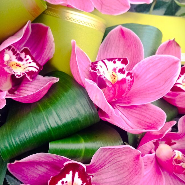 orchidee rosa e fucsia in una corona funebre