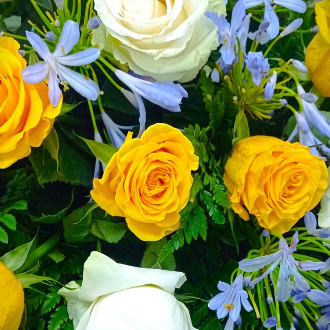 composizione funeraria con rose gialle e bianche e agapanthus viola