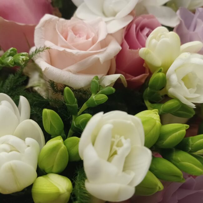 rose rosa e freesia bianca