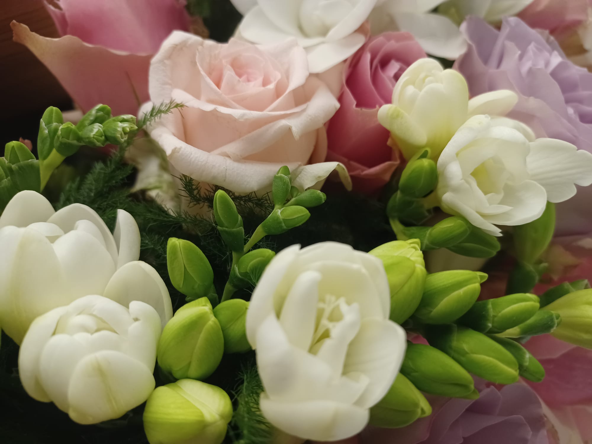 rose rosa e freesia bianca