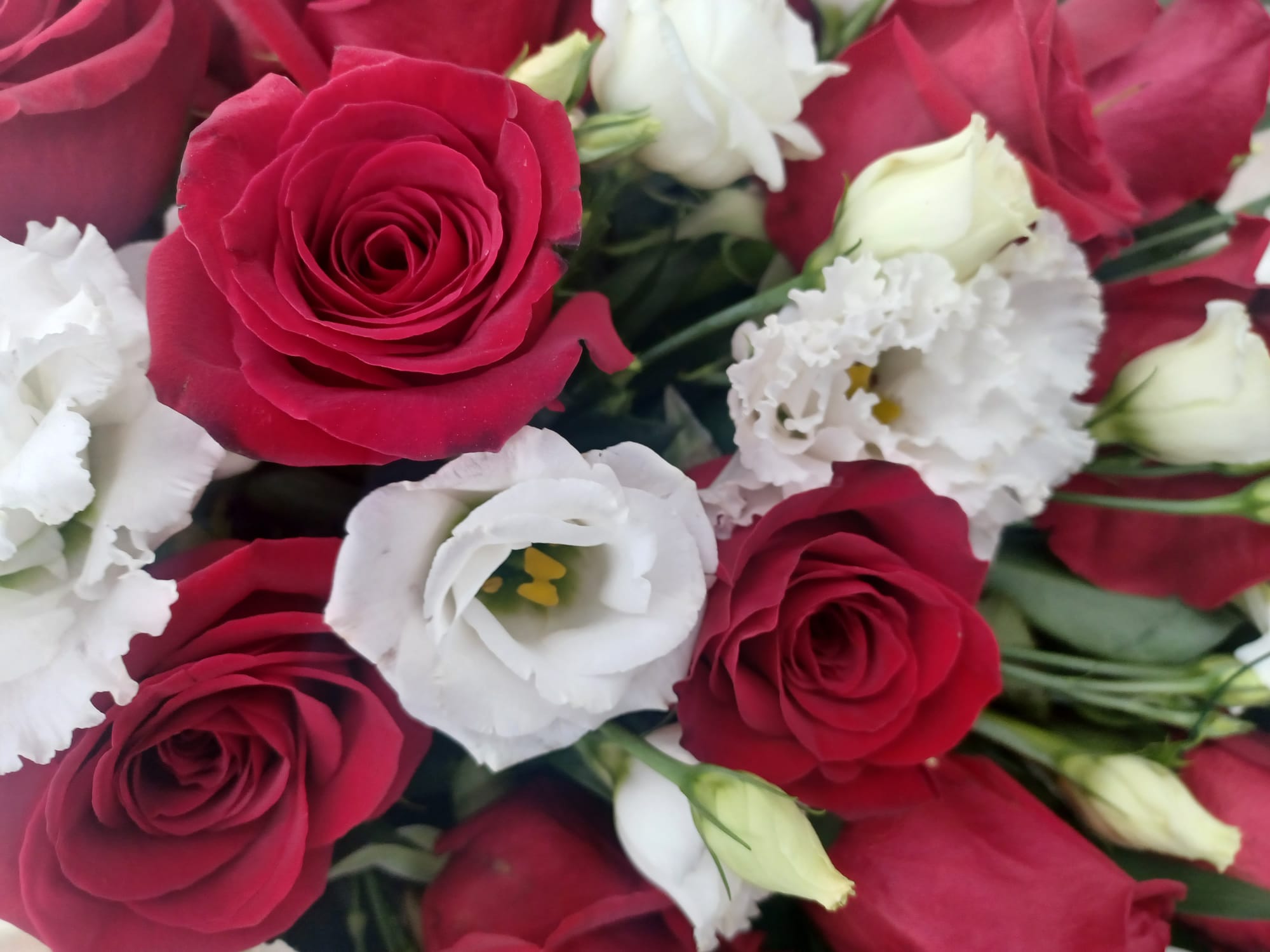rose rosse e bianche per corona funebre