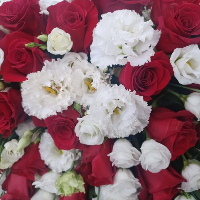 composizione fiori begonie bianche e rose rosse