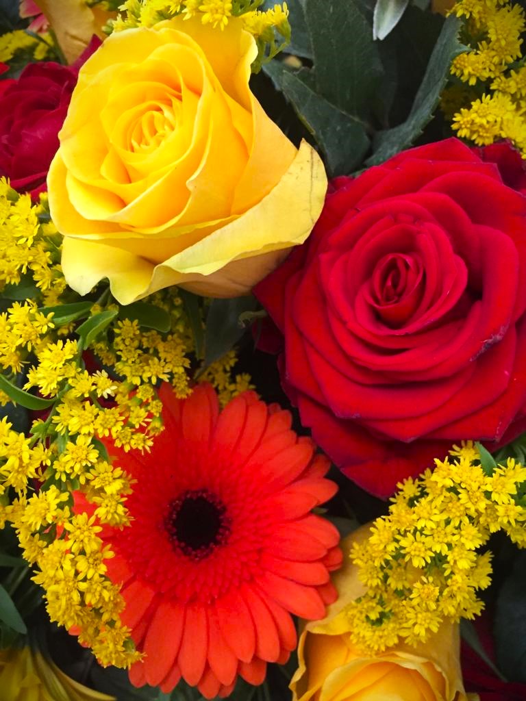 gerbere e rose sui colori del rosso e giallo per funerale