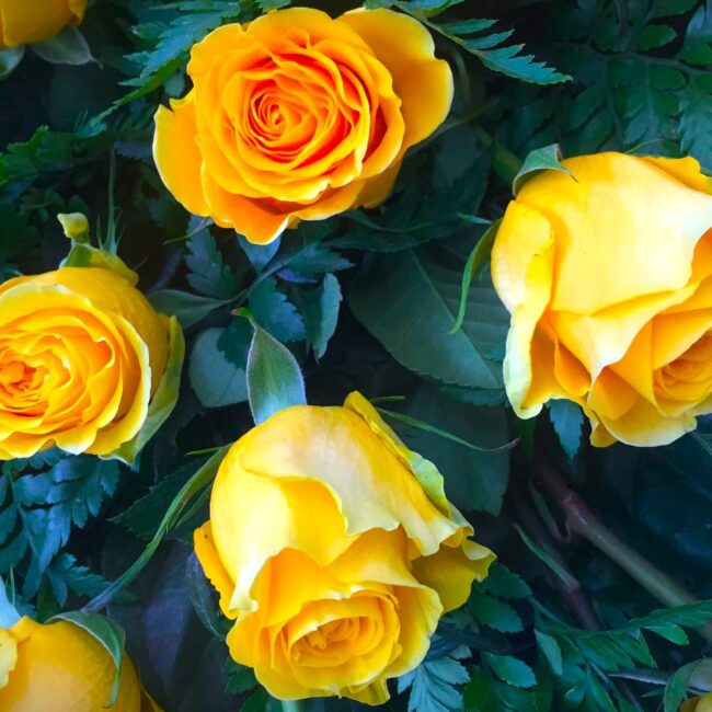 composizione di rose gialle e arancioni