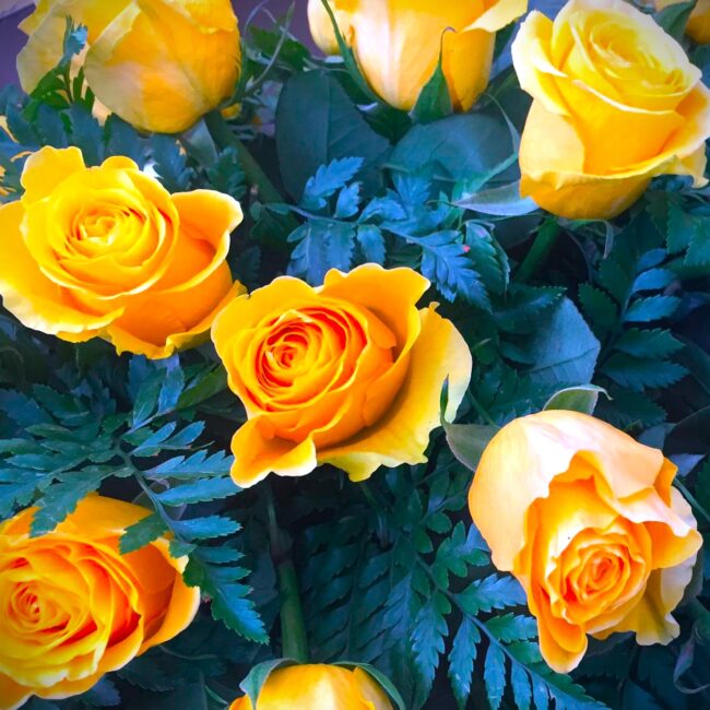 rose gialle per composizione florale funebre