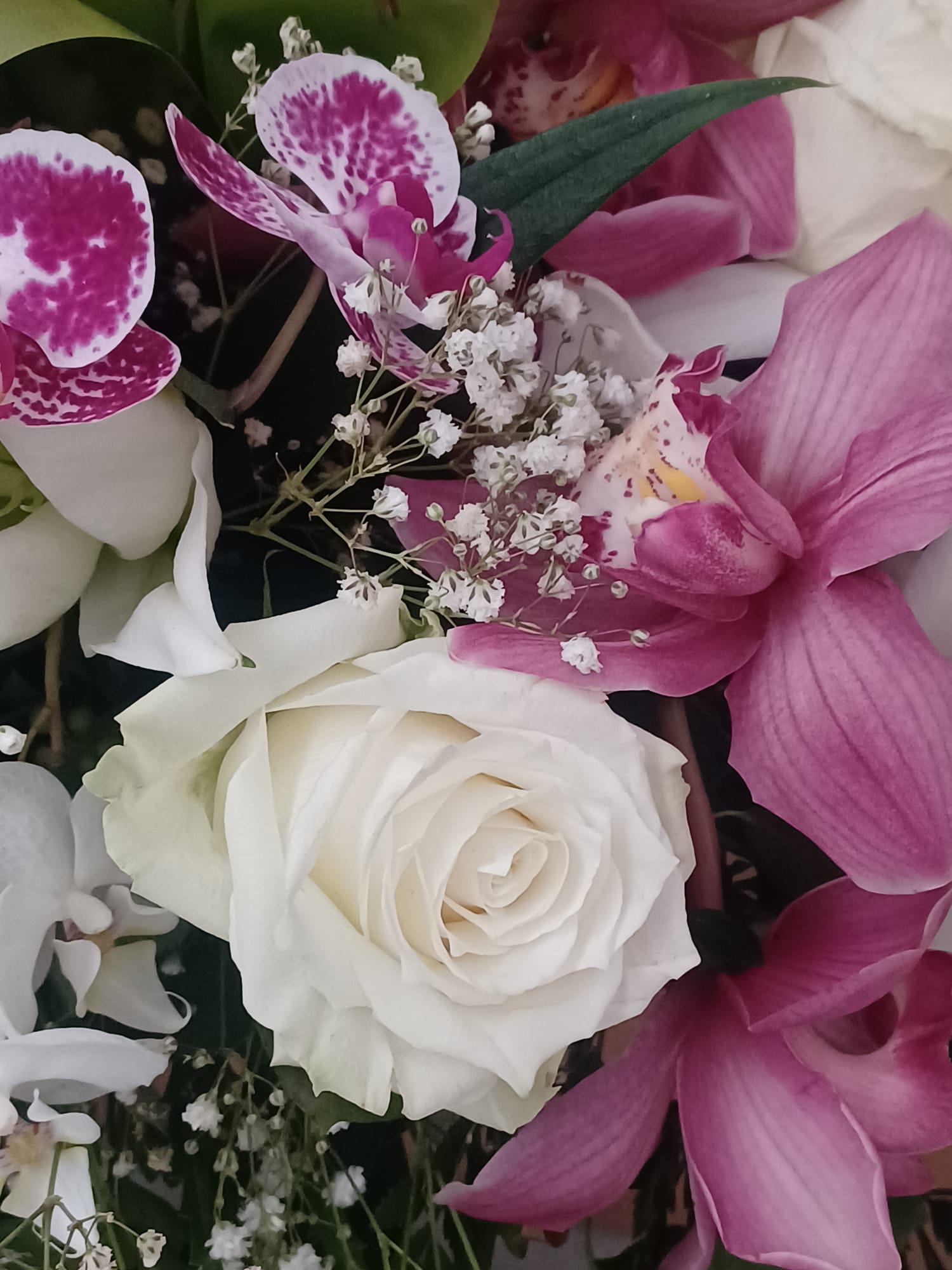 dettaglio su fiori per funerale composti da orchidee, rose e gypsophila