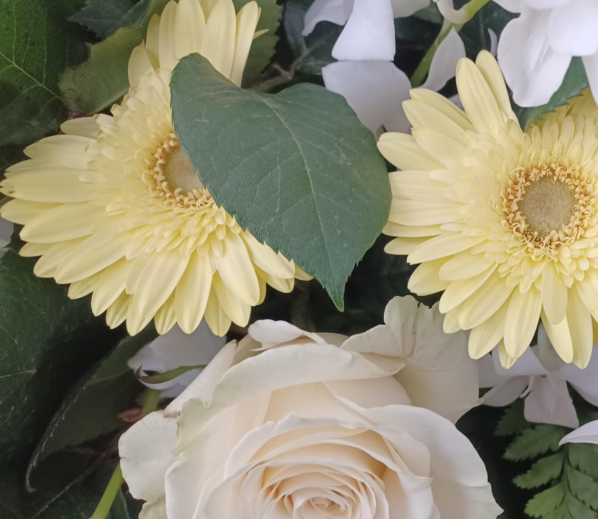 composizione fiori rose e gerbere gialle