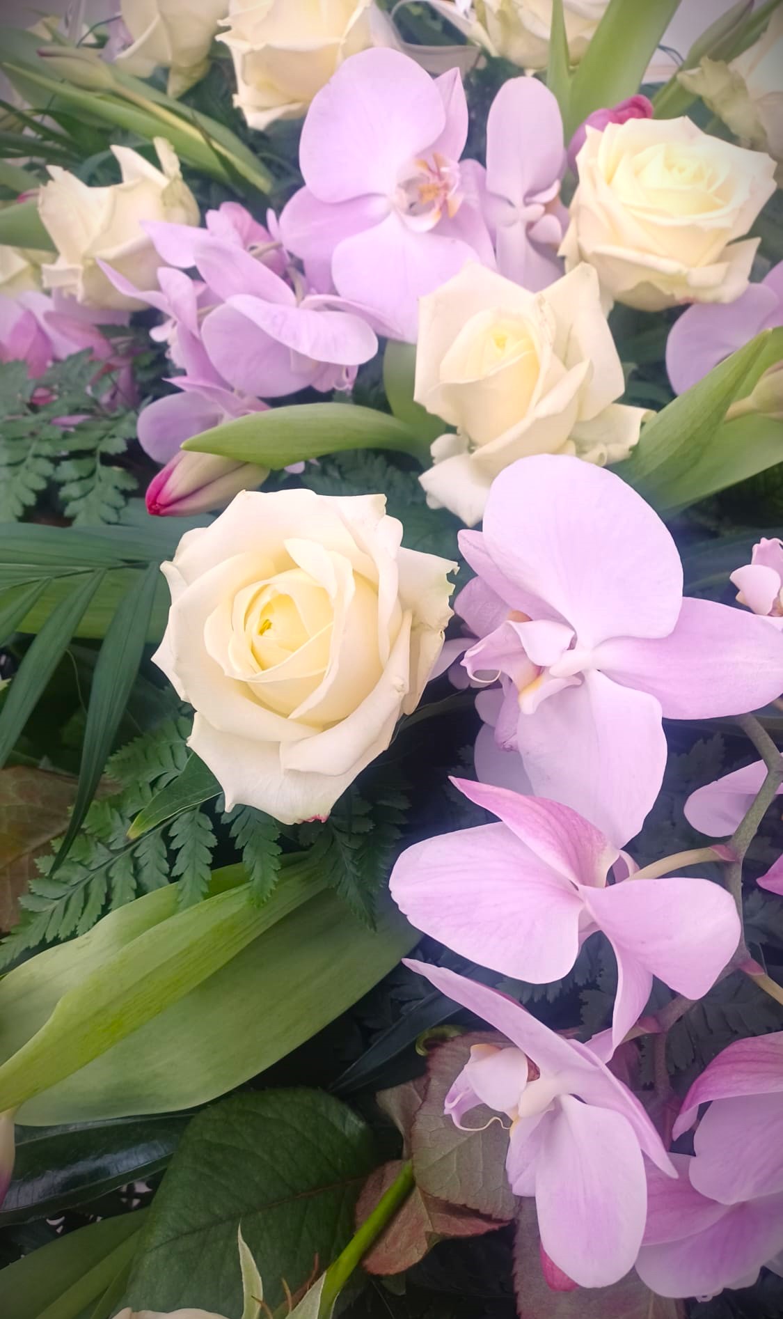 orchidee lilla e rose bianche con altre piante verdi per funerale