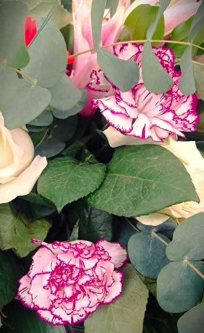garofano rosa e bianco sfumato con altri fiori sui colori tenui in una corona d'alloro