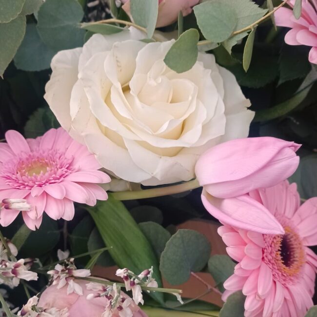 rose e gerbere rosa in una composizione funebre